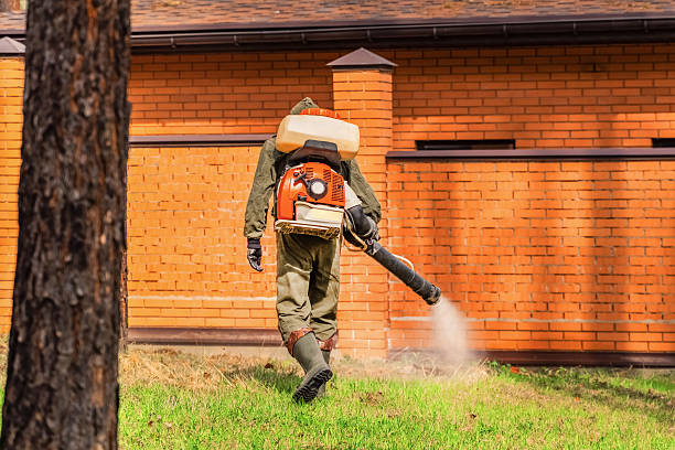 Trusted Emergency Pest Control service in Parchment, MI - Nex Pest Control